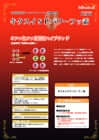 外壁フッ素塗装価格　SPパワーフッ素