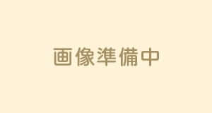 満開スミ切り(馬毛・ナイロン混毛)