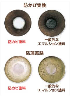 防かび塗料の防藻・防かび性