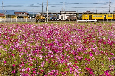 東員町 地域の特徴と外壁塗装の関連性 イメージ