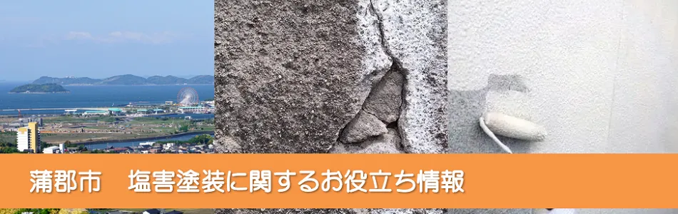 蒲郡市内の塩害に強い外壁、屋根塗装とは？　イメージ