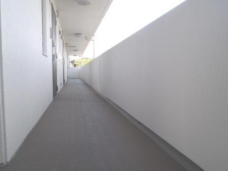 名古屋市天白区　賃貸マンション　通路・腰壁塗装　施工例