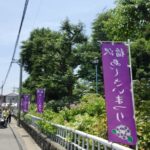 稲沢市　紫陽花　イメージ (2)