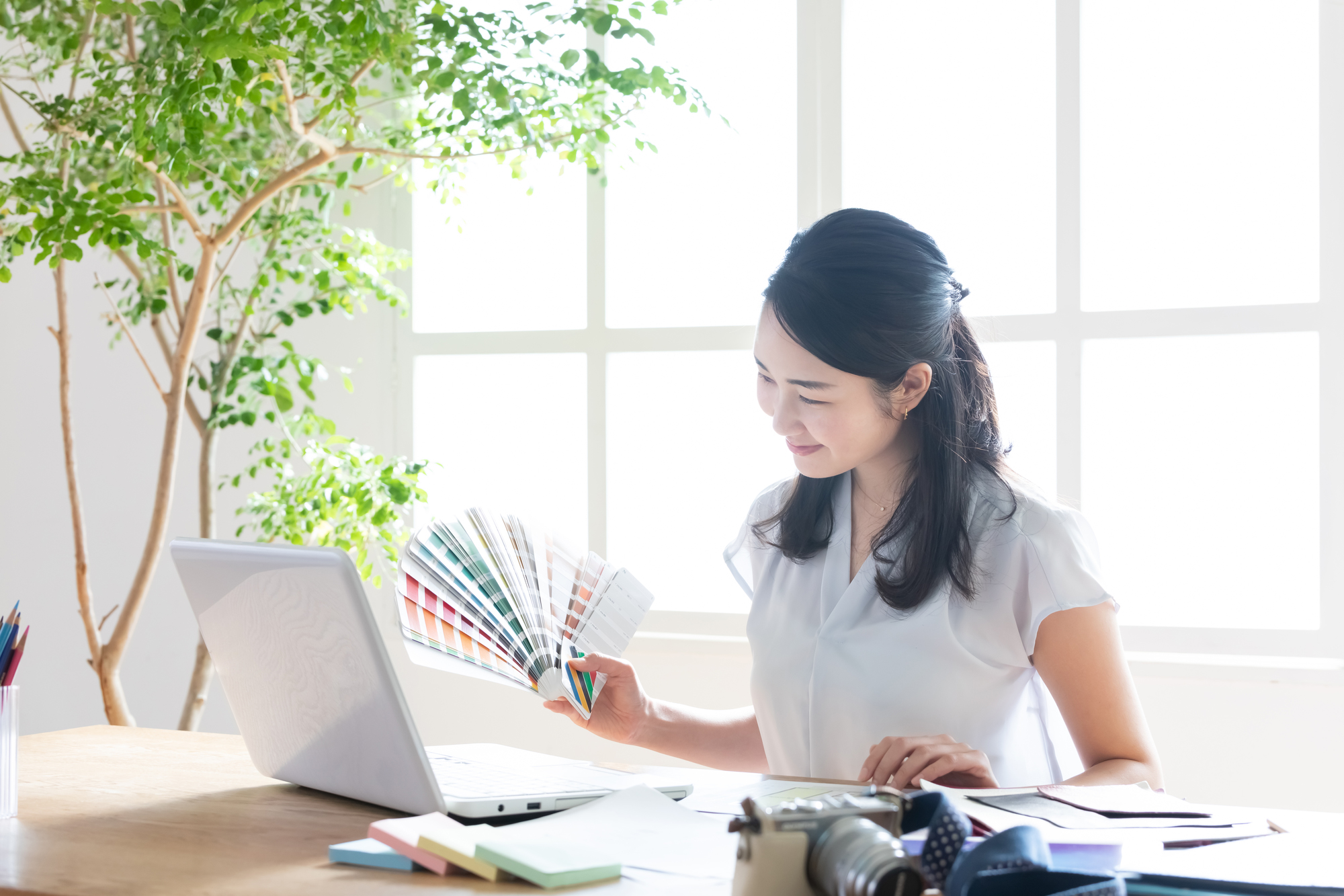 昭和区 外壁塗装色 イメージ