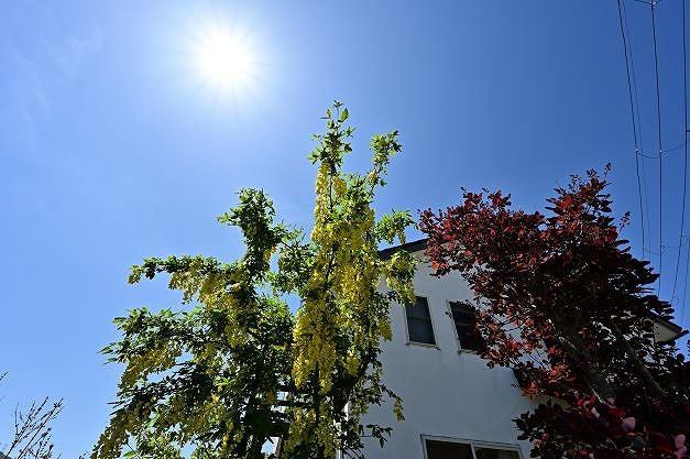 塗装の耐用年数に大きく影響する要素 イメージ