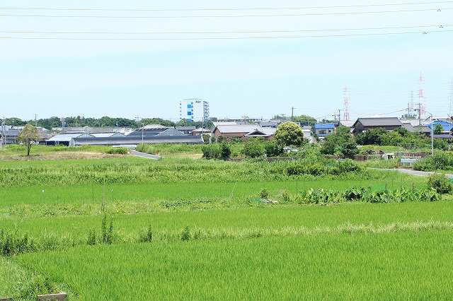 武豊町外壁塗装イメージ