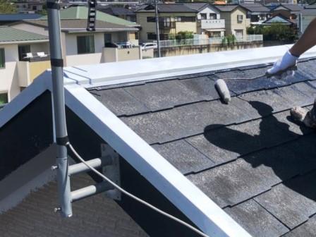 瀬戸市 外壁ダブルトーン塗装 施工例 カラーベスト屋根塗装 イメージ