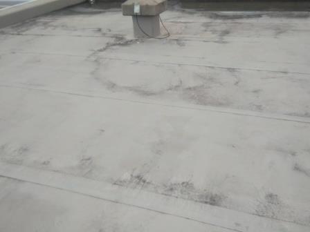 瀬戸 屋上防水塗装前