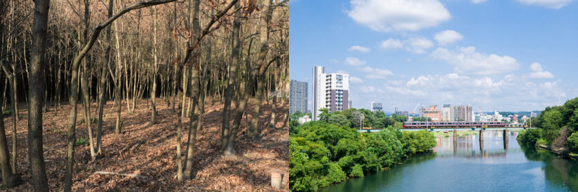 外壁塗装が汚れる原因　外壁塗装が汚れやすい場所　雑木林、河川の近く　イメージ