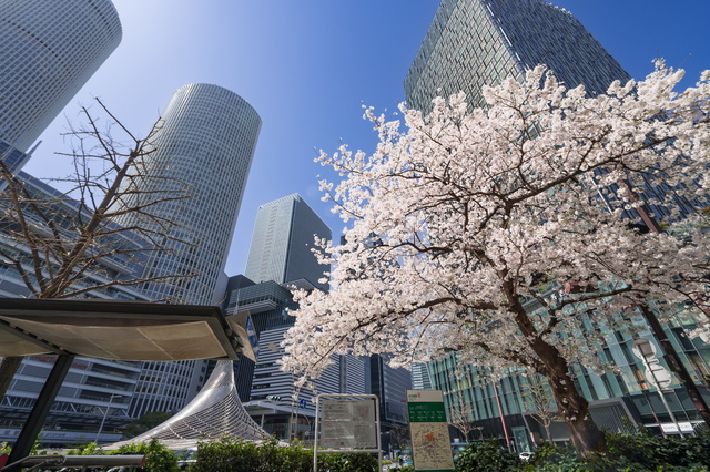 名古屋市内　4月の気候　平均値　外壁塗装　イメージ