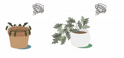 外壁塗装　養生中の注意点　植物が枯れてしまう恐れがある　イメージ
