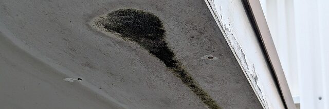 軒天の劣化症状4. 藻やカビ イメージ