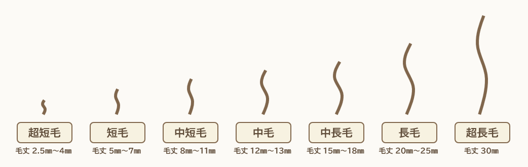 外壁塗装の塗膜性能に最も影響を与えるローラーの毛丈の図　イメージ