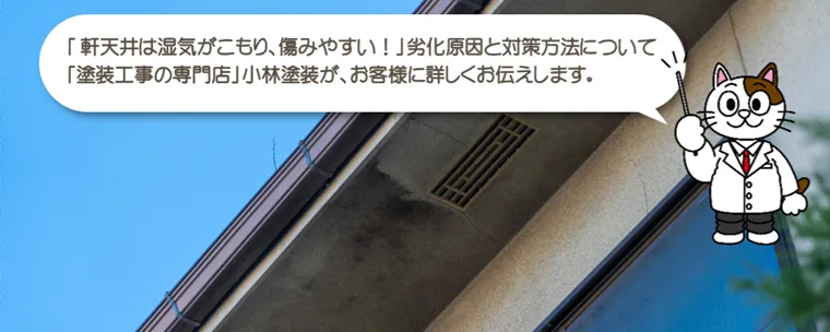 軒天が劣化する原因と軒天のメンテナンス方法をお教えします