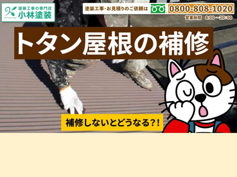 トタン屋根を塗装したら、すぐに塗装が剥がれた。その原因とは イメージ