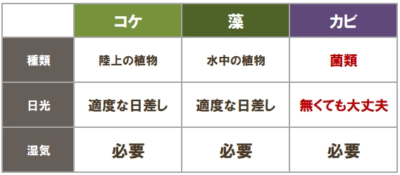 外壁のカビとコケ　その違い　イメージ