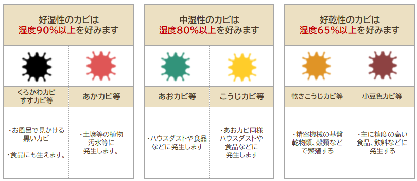 知っておきたいカビの種類　外壁　イメージ