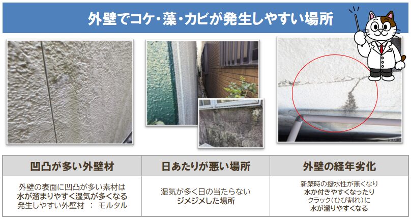 外壁にカビが発生しやすい立地・注意　イメージ