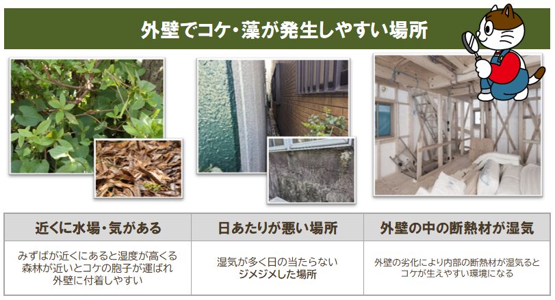 外壁に藻やコケが発生する原因　イメージ