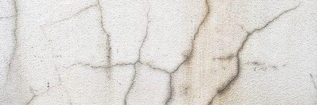 外壁に付いた藻やコケは建物の劣化に繋がります　イメージ