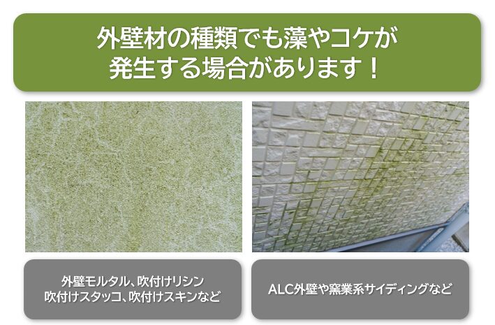 外壁材の種類でも藻やコケが発生する場合があります　イメージ