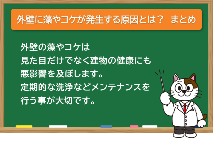 外壁に藻やコケが発生する原因とは？　まとめ　イメージ