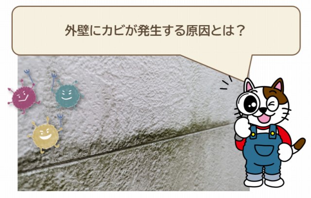 外壁にカビが発生する原因とは？　イメージ