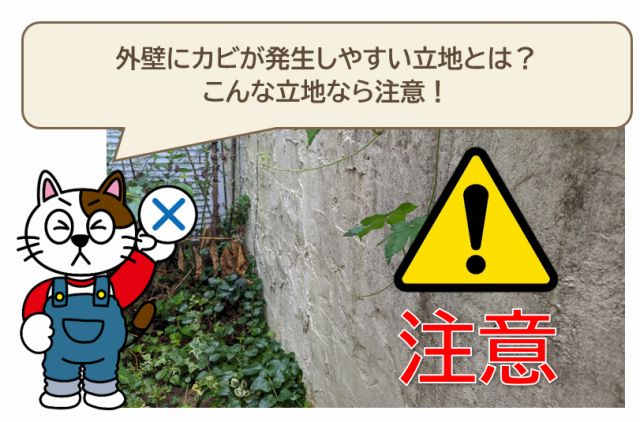 外壁にカビが発生しやすい立地とは？　こんな立地なら注意！　イメージ