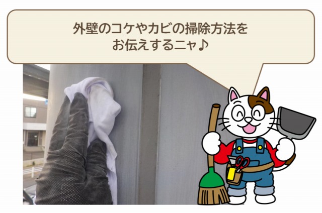外壁　カビ　塗料　イメージ