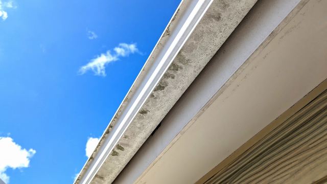 守山区 イエロー系 カントリー住宅 外壁塗装 施工例 イメージ