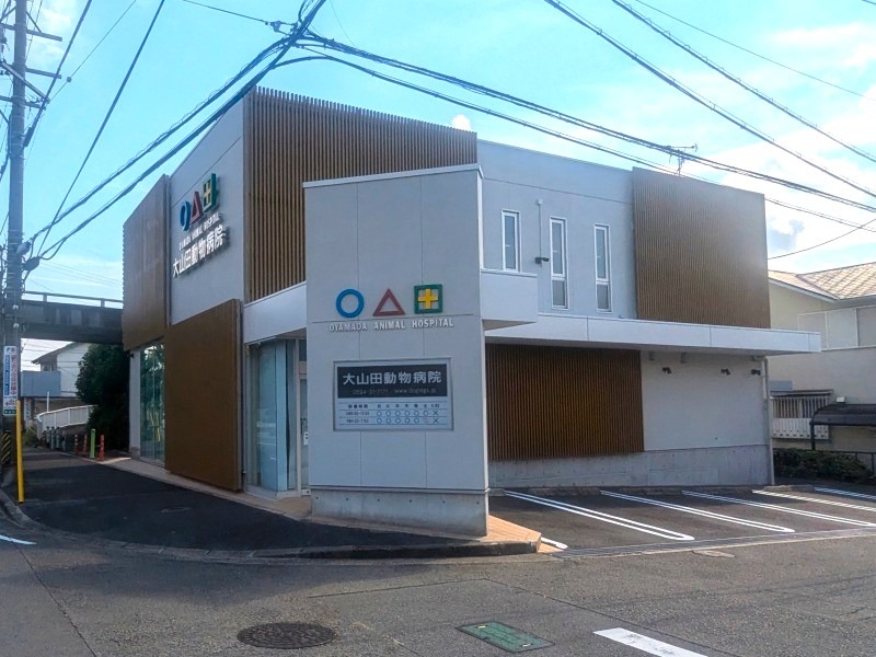 桑名市　面格子のアクセントがおしゃれな　動物病院　外壁塗装　施工例の写真