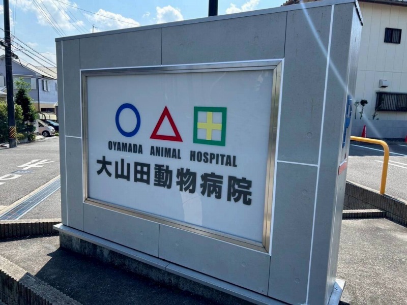 桑名市 面格子のアクセントがおしゃれな 動物病院 外壁塗装 施工例 案内看板塗装 完成 イメージ
