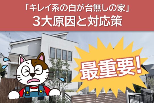 【最重要】「キレイ系の白が台無しの家」3大原因と対応策 イメージ