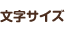 文字サイズ